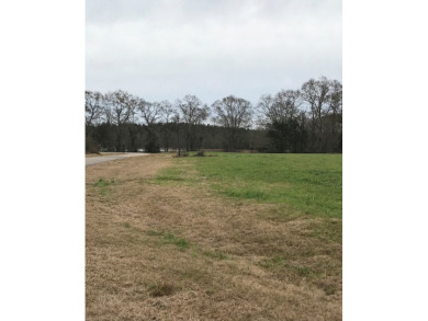 Build your dream home on a dreamy lot in Phase II of the - photo 3