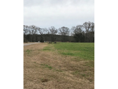 Build your dream home on a dreamy lot in Phase II of the - photo 2