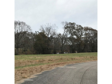 Build your dream home on a dreamy lot in Phase II of the - photo 3