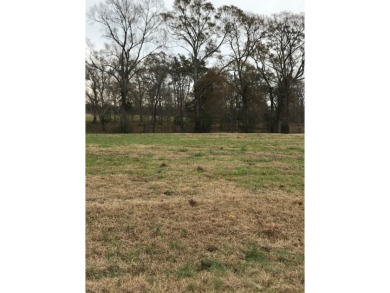 Build your dream home on a dreamy lot in Phase II of the - photo 4