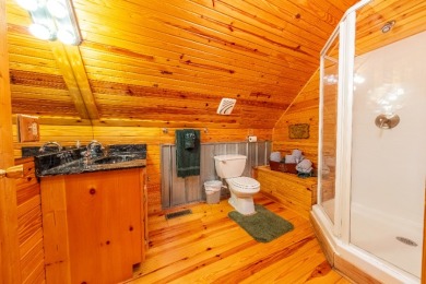 Sleeps 8, Unrestricted, wooded 7.21 acres & a solo private dock - photo 34