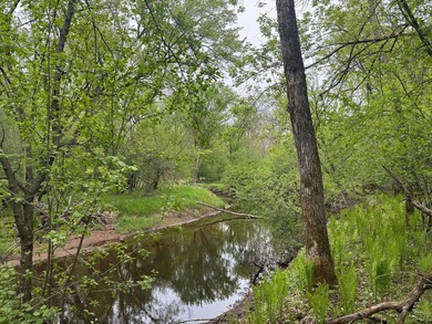 Beautiful 15-acre wooded property along the Rum River featuring - photo 1