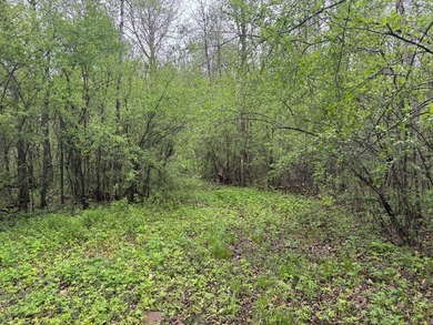Beautiful 15-acre wooded property along the Rum River featuring - photo 2