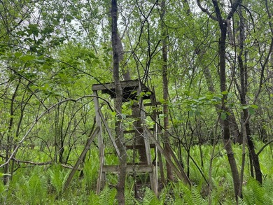 Beautiful 15-acre wooded property along the Rum River featuring - photo 4