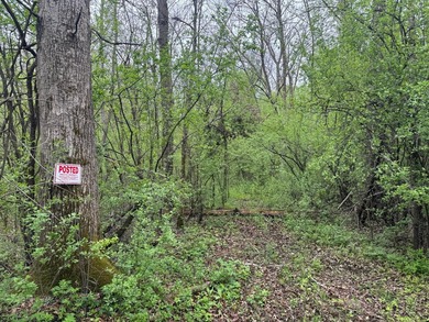Beautiful 15-acre wooded property along the Rum River featuring - photo 6