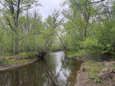 Beautiful 15-acre wooded property along the Rum River featuring - photo 7