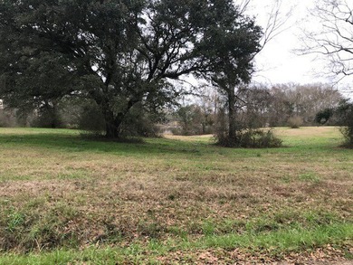 Build your dream home on a dreamy lot in Phase II of the - photo 2