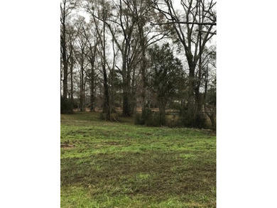 Build your dream home on a dreamy lot in Phase II of the - photo 3