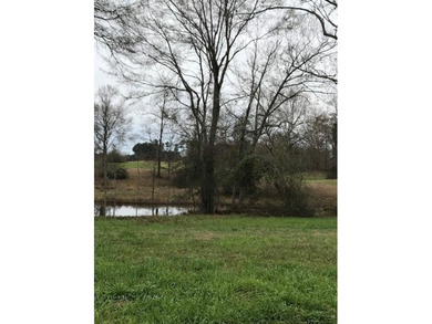 Build your dream home on a dreamy lot in Phase II of the - photo 4