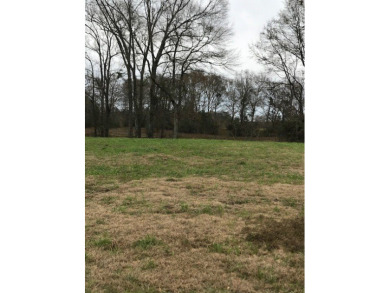 Build your dream home on a dreamy lot in Phase II of the - photo 2