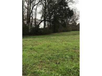 Build your dream home on a dreamy lot in Phase II of the - photo 3