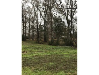 Build your dream home on a dreamy lot in Phase II of the - photo 4