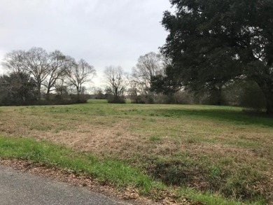 Build your dream home on a dreamy lot in Phase II of the - photo 4