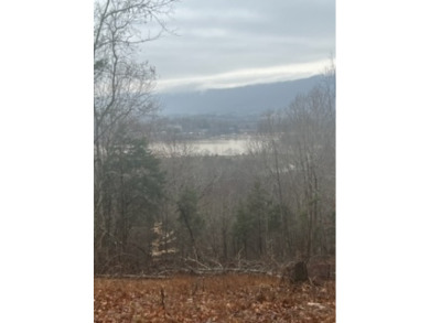 Norris Lake Acreage For Sale in Speedwell Tennessee