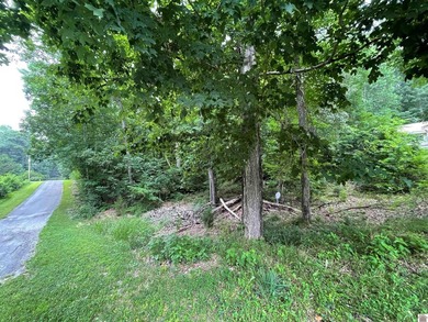 SELLING AS IS. This property has plenty to offer, with 2 - photo 20