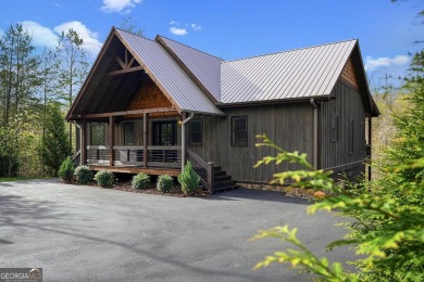 Lake Home For Sale in Blue Ridge, Georgia