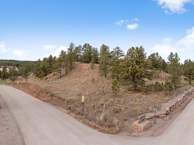 Perched on just over an acre, this exceptional south-facing - photo 21
