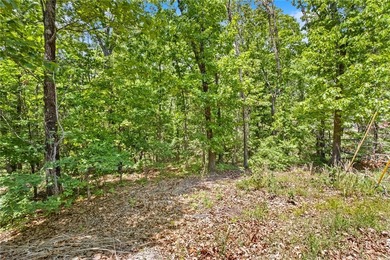 Unique opportunity to buy your own Cul-de-sac and a piece of - photo 41