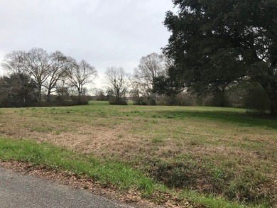Beautiful 1.31 +/- acre lot in Phase II of Oak Haven Subdivision - photo 2