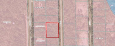Wonderful .43 acre lot in Lake View Manor.  Just minutes from - photo 3