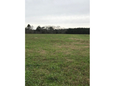 Beautiful 1.31 +/- acre lot in Phase II of Oak Haven Subdivision - photo 3