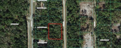 Wonderful .43 acre lot in Lake View Manor.  Just minutes from - photo 4