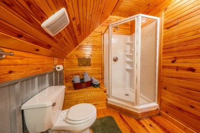 Sleeps 8, Unrestricted, wooded 7.21 acres & a solo private dock - photo 37