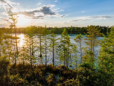 Lake Acreage For Sale in Hartford, Alabama