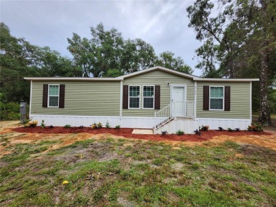 Lake Home For Sale in Inverness, Florida