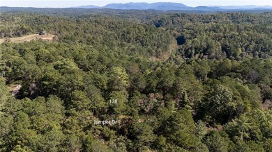 Coosawattee River - Gilmer County Lot For Sale in Ellijay Georgia