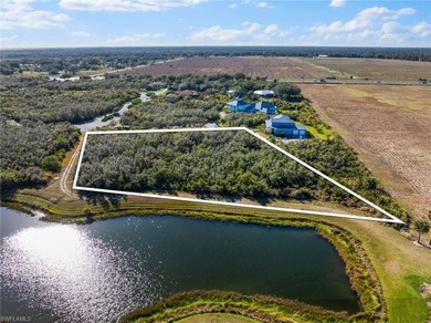 Lake Lot For Sale in Alva, Florida