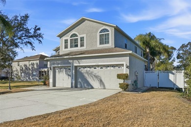 (private lake, pond, coastal) Home For Sale in Oldsmar Florida