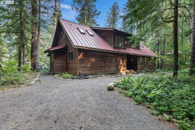 McKenzie River  Home For Sale in Mckenziebridge Oregon