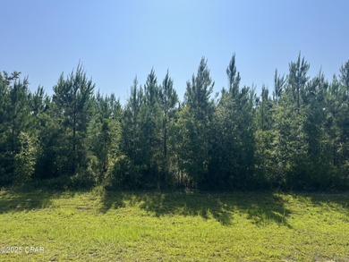 Dead Lake Acreage For Sale in Kinard Florida