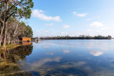 Lake Home Sale Pending in Orlando, Florida