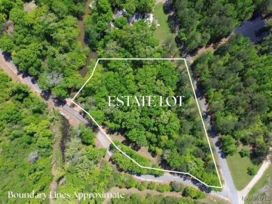 Lake Acreage For Sale in Orrville, Alabama