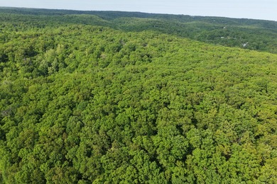 29687 Proctor Rd - photo 5