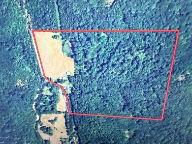 29687 Proctor Rd - photo 9