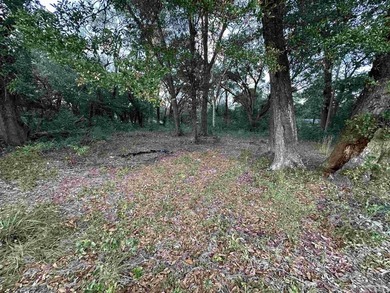 This 0.54-acre offering includes two parcels: one fronting Kelly - photo 2