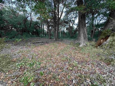 This 0.54-acre offering includes two parcels: one fronting Kelly - photo 4