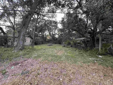 This 0.54-acre offering includes two parcels: one fronting Kelly - photo 5