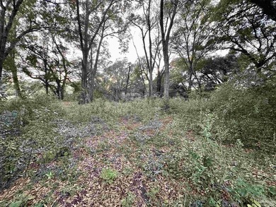 This 0.54-acre offering includes two parcels: one fronting Kelly - photo 6