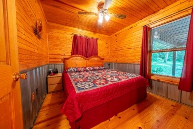 Sleeps 8, Unrestricted, wooded 7.21 acres & a solo private dock - photo 20