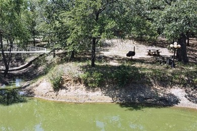 11.58 acres in rural Lone Grove school district. This - photo 36