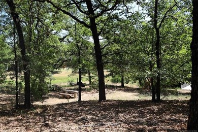 11.58 acres in rural Lone Grove school district. This - photo 39