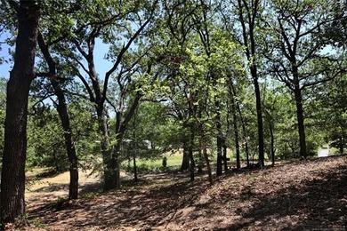 11.58 acres in rural Lone Grove school district. This - photo 40