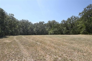 11.58 acres in rural Lone Grove school district. This - photo 48