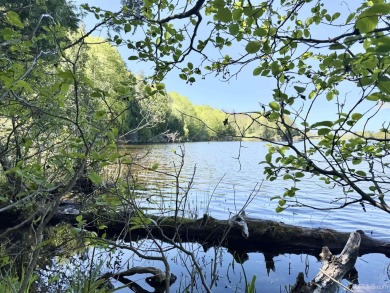 Lake Lot For Sale in Marenisco, Michigan