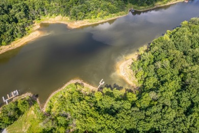 Sleeps 8, Unrestricted, wooded 7.21 acres & a solo private dock - photo 41