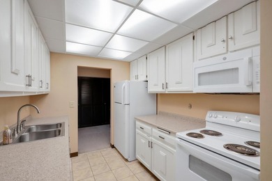 Seller providing a $15,000 credit at closing toward buyer's - photo 12